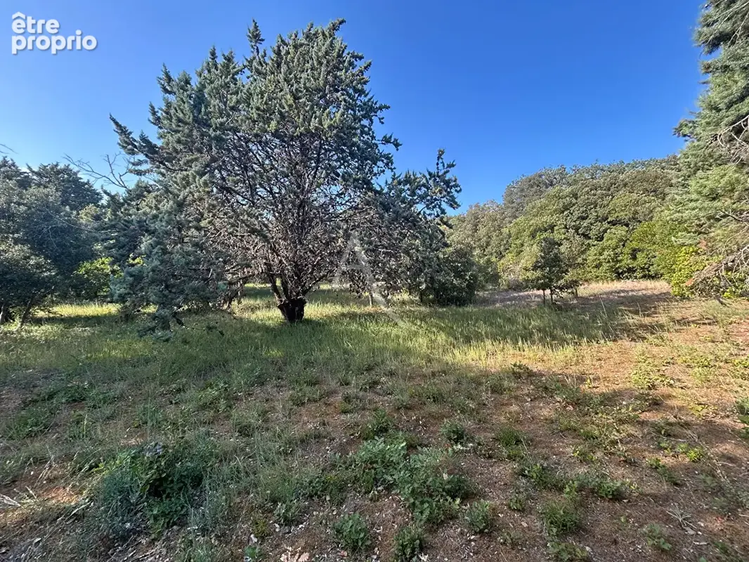 Terrain à bâtir de 1 510 m² ? superbe environnement et vue dégagée - photo 2