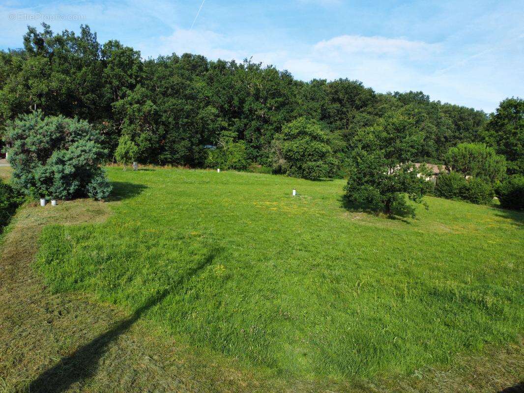 Terrain à SAINT-AIGNAN