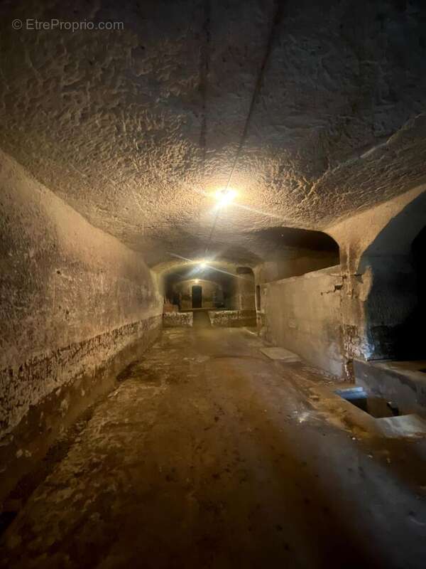 Photo 6 - Maison à LANGEAIS