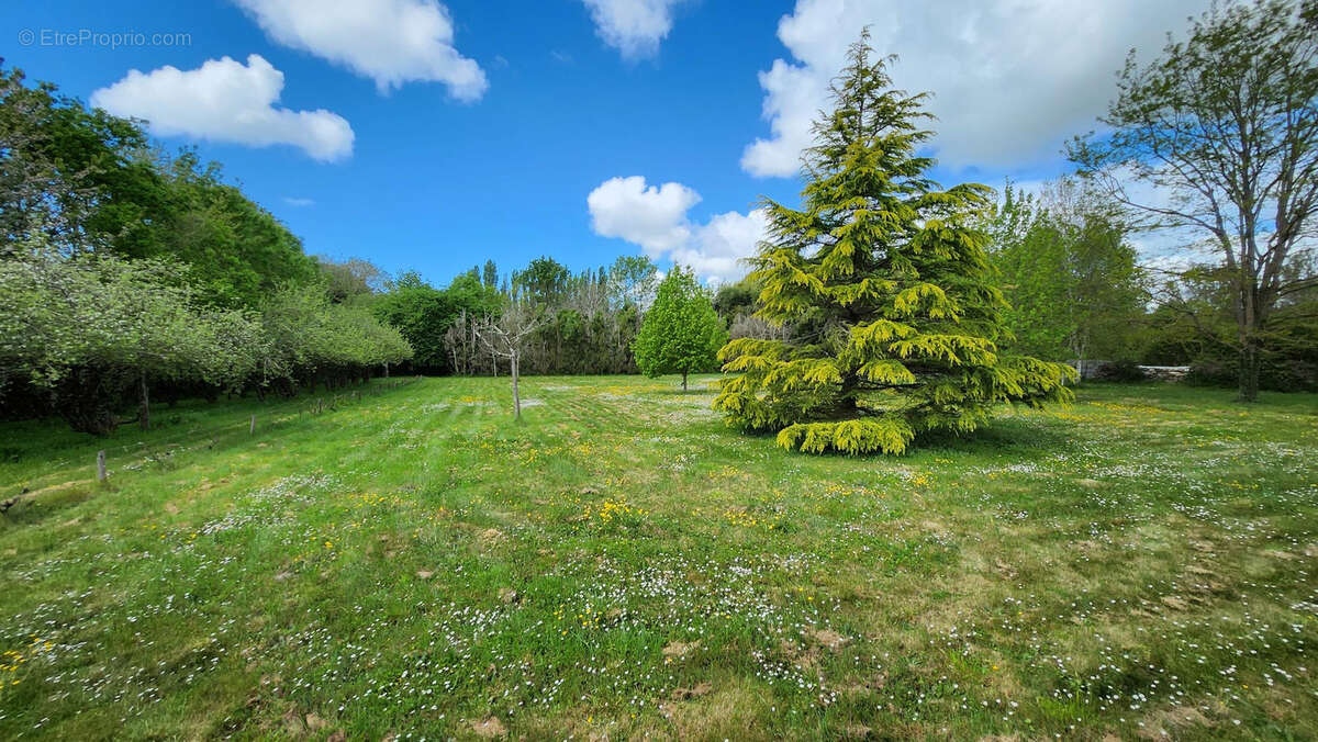 sans doute une des plus belle ferme de la commune sur près de 10 hectares d'un seul tenant - photo 11