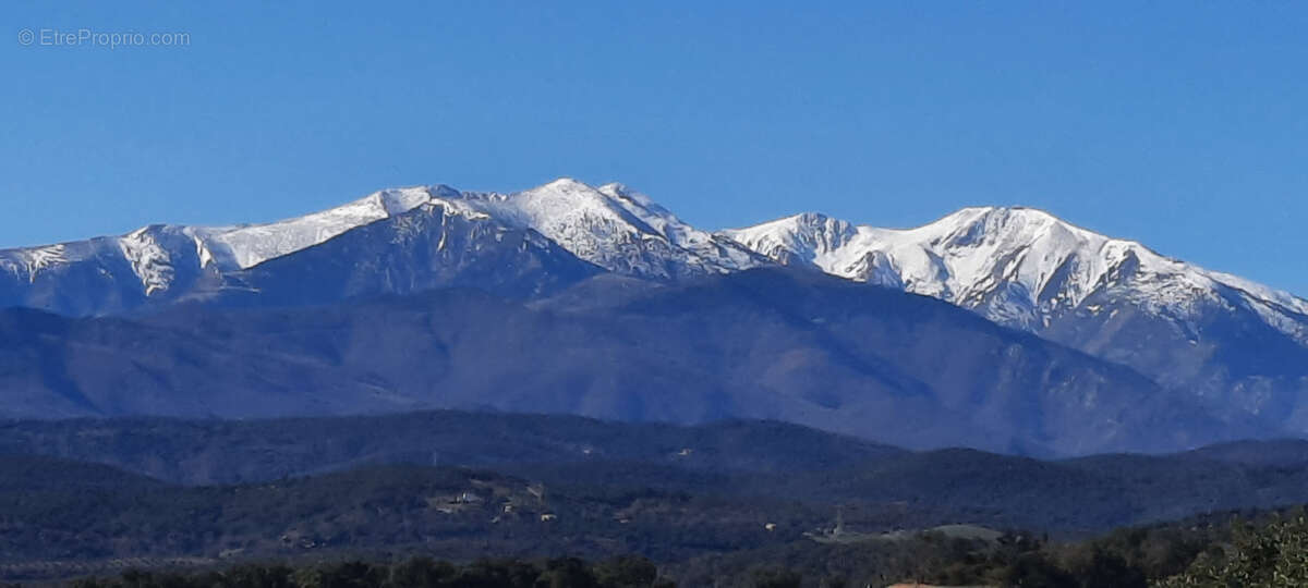 Terrain de loisir avec casot nature vue canigou calme vallespir - photo 12