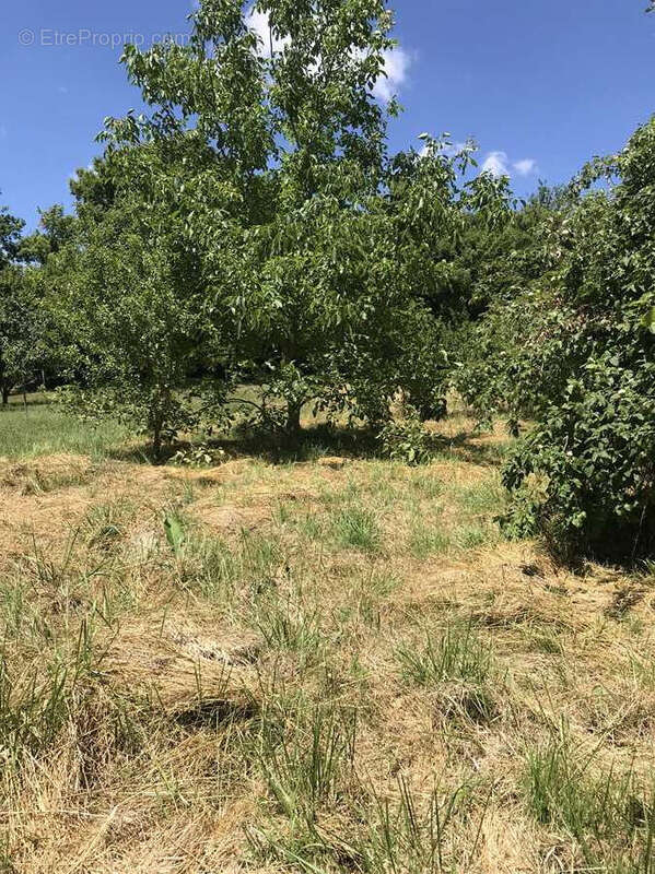 Maison à BRINON-SUR-BEUVRON