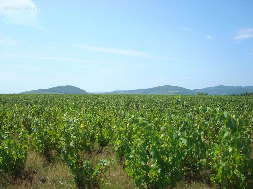 Maison à VILLIE-MORGON