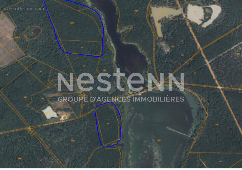 Terrain à FONTAINES-EN-SOLOGNE