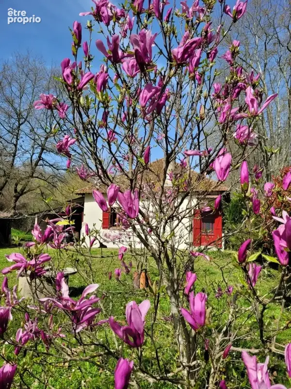 Maison à vendre 3 pièces LABASTIDE D'ARMAGNAC (40) - photo 21