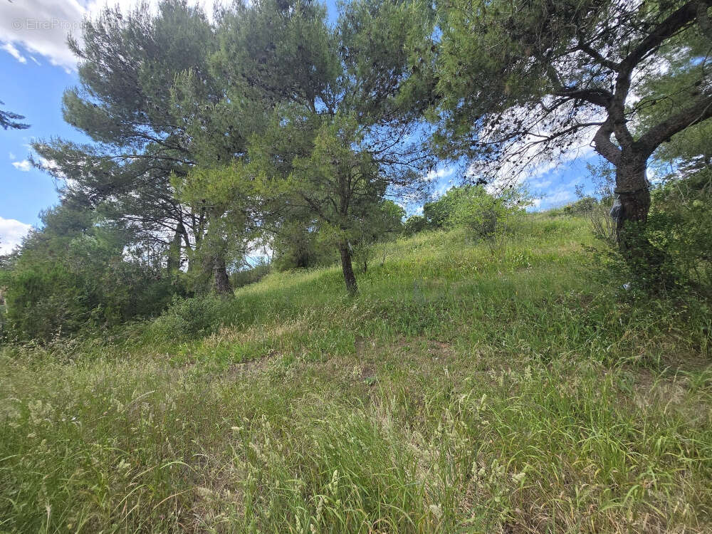 Terrain à CASTELNAU-DE-GUERS