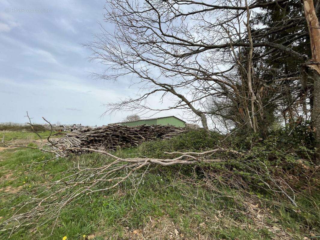 Maison à SAINT-PRIEST-LES-FOUGERES