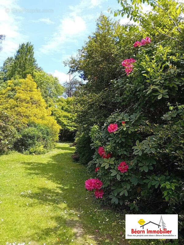 Maison à SALIES-DE-BEARN
