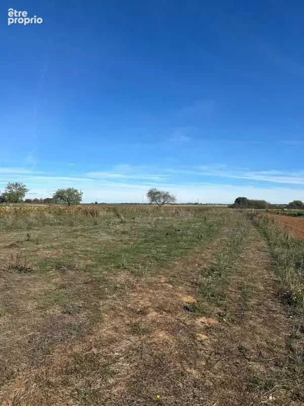 Terrain à vendre de 2 241,00 m² NALLIERS (secteur Chevrette) (85) - photo 3