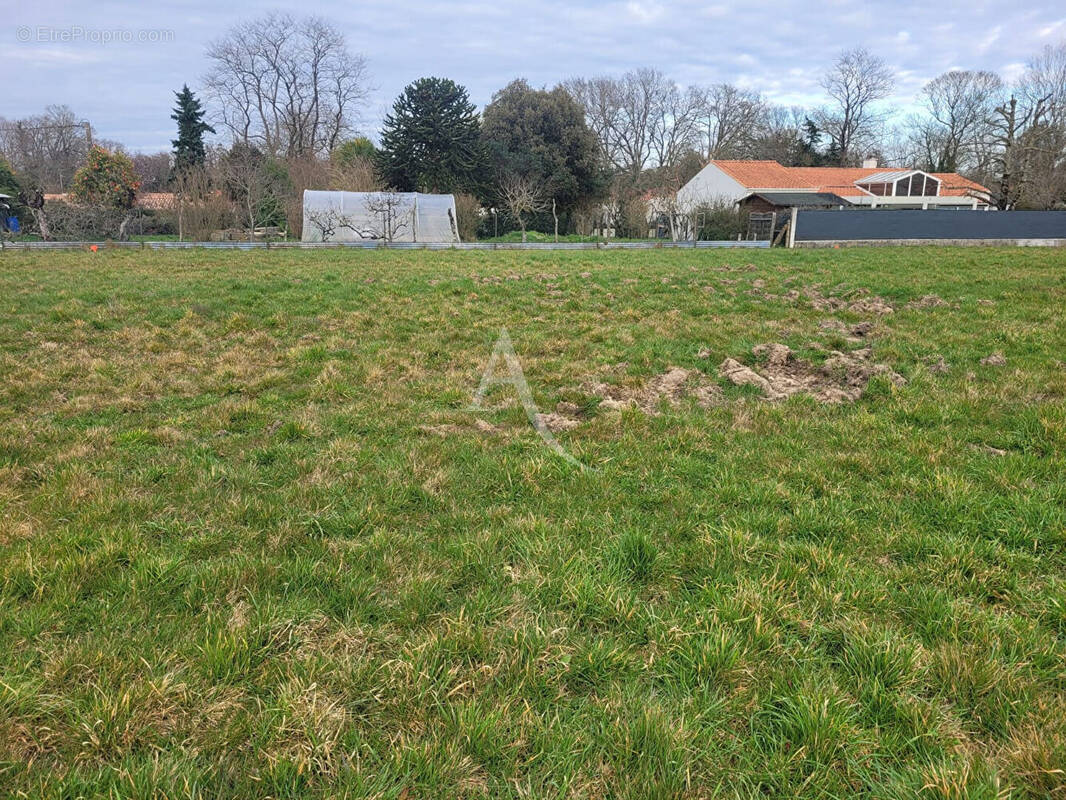 Terrain à CHALLANS