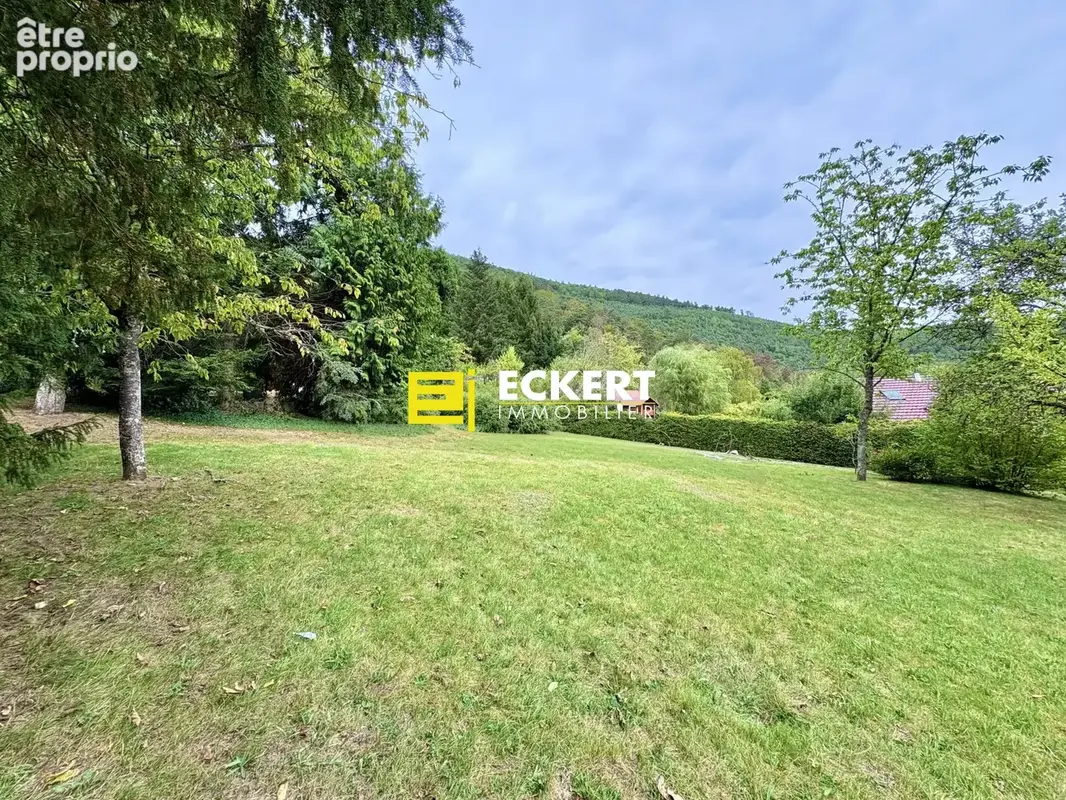 Terrain à BOERSCH
