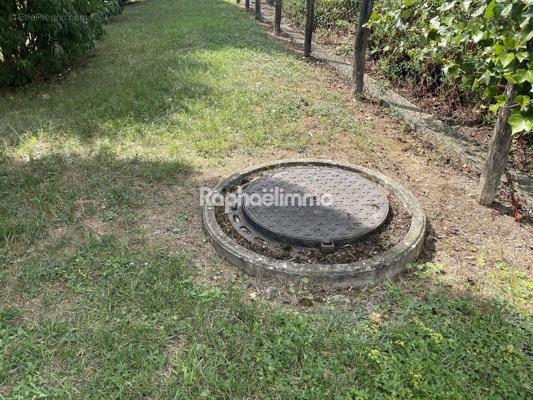 Terrain à SCHNERSHEIM