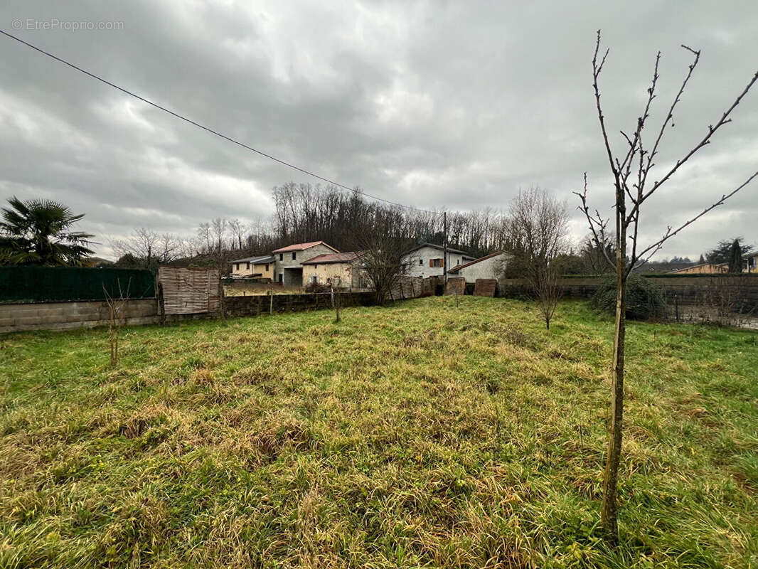 Maison à VILLIEU-LOYES-MOLLON