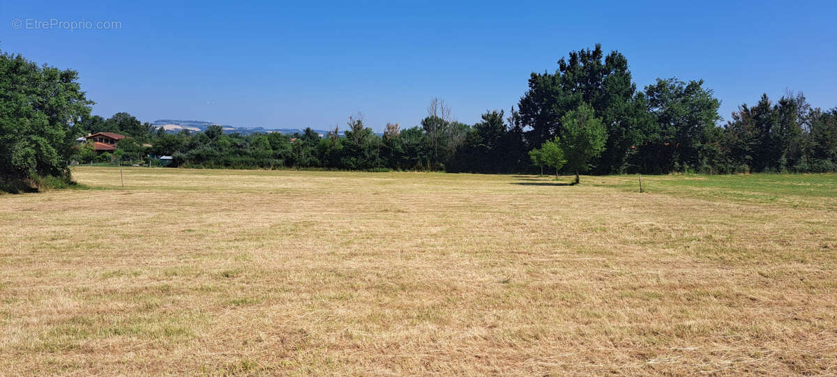 Terrain à CAUSSADE