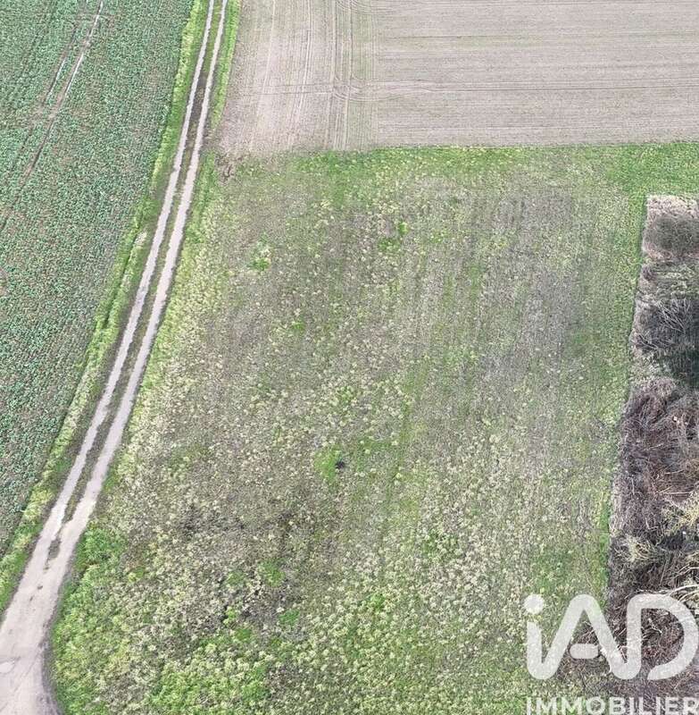 Photo 2 - Terrain à SAINT-BENOIT-SUR-LOIRE