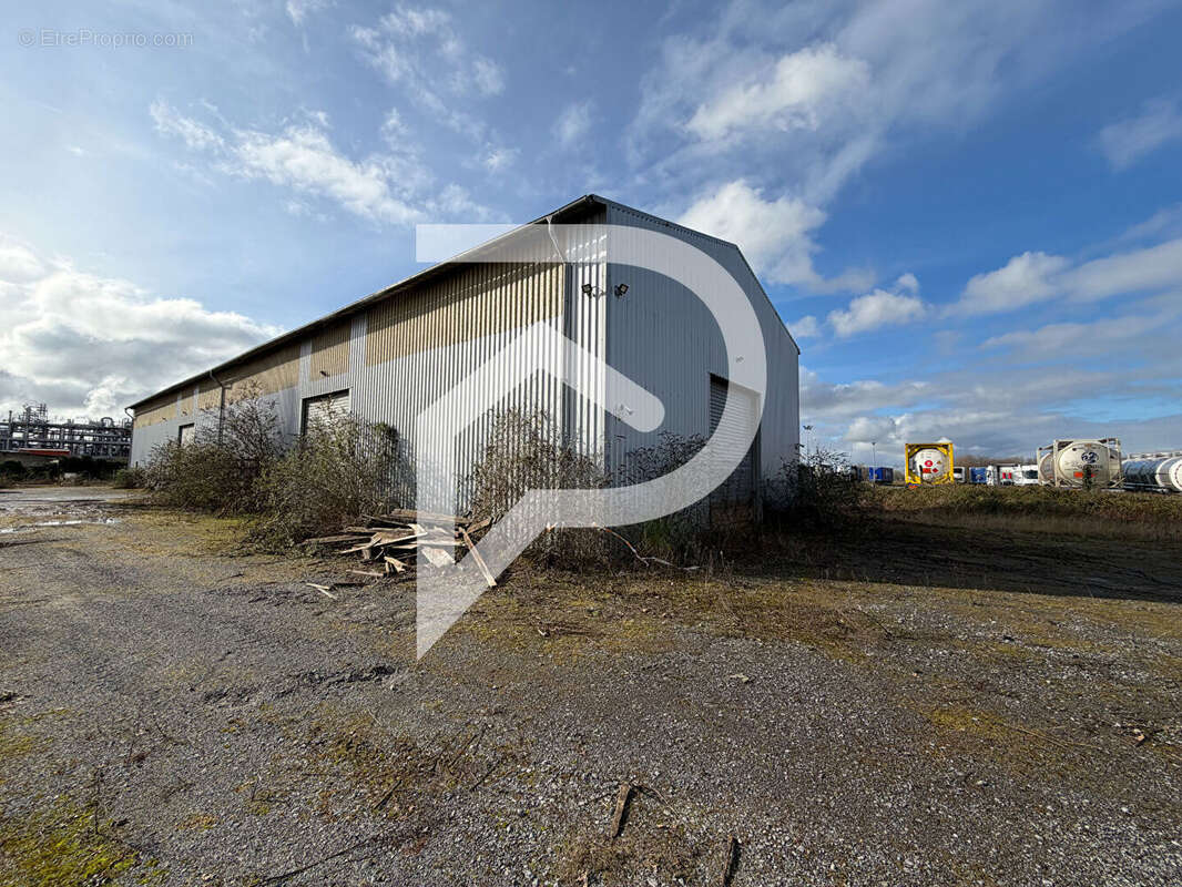 Hangar industriel LACQ 880 m² - photo 4