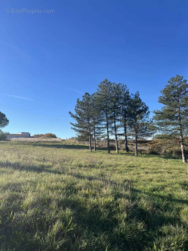 Terrain à LAVILLEDIEU