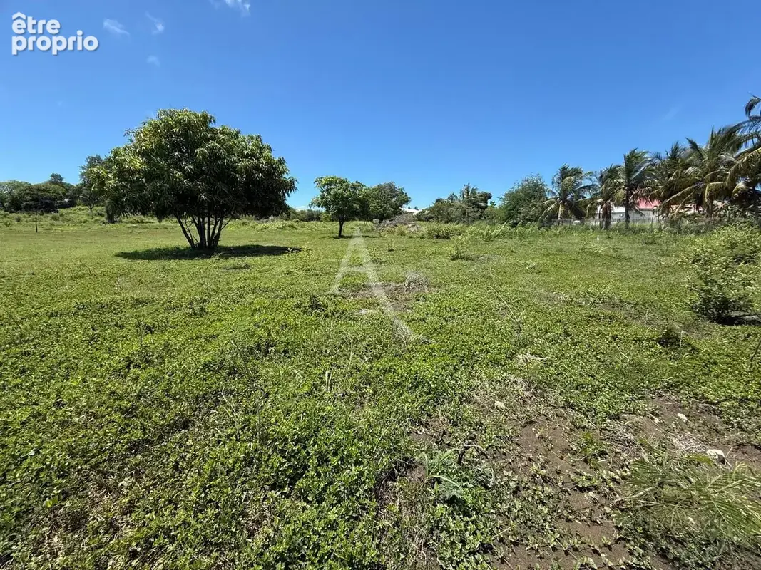Belle opportunité : Grand terrain plat de 3 000 m² très facile d'accès - photo 2