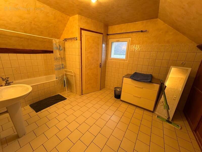 Maison à LE PETIT-PRESSIGNY