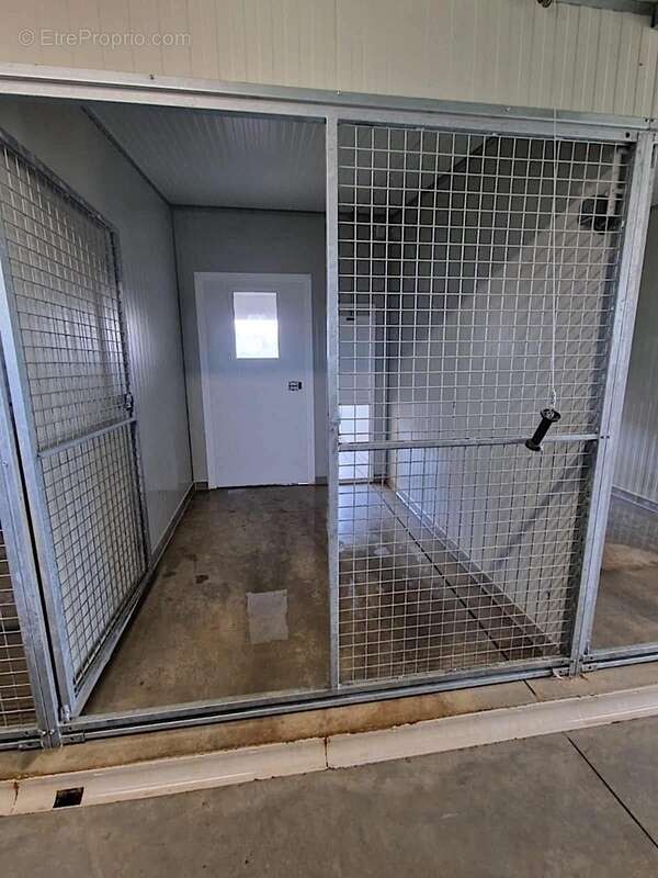 Maison 137m2 + dépendances + élevage canin sur 5,7 ha de terrain proche de aire sur l'adour (40) - photo 20