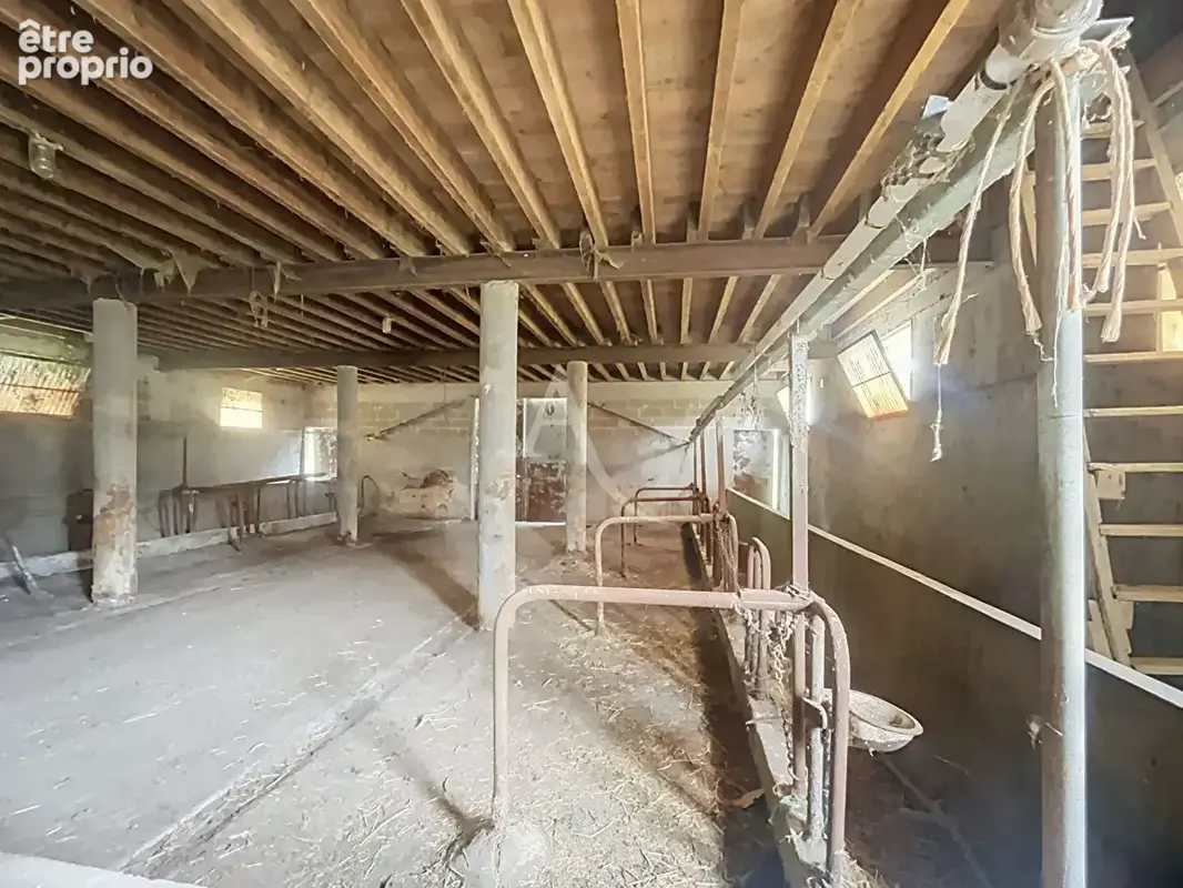 Propriété de caractère avec dépendance et 2,5 hectares ? Un beau potentiel à révéler ! - photo 18