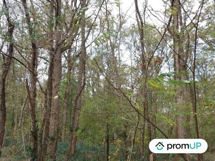 Terrain à CHATILLON-SUR-CHER