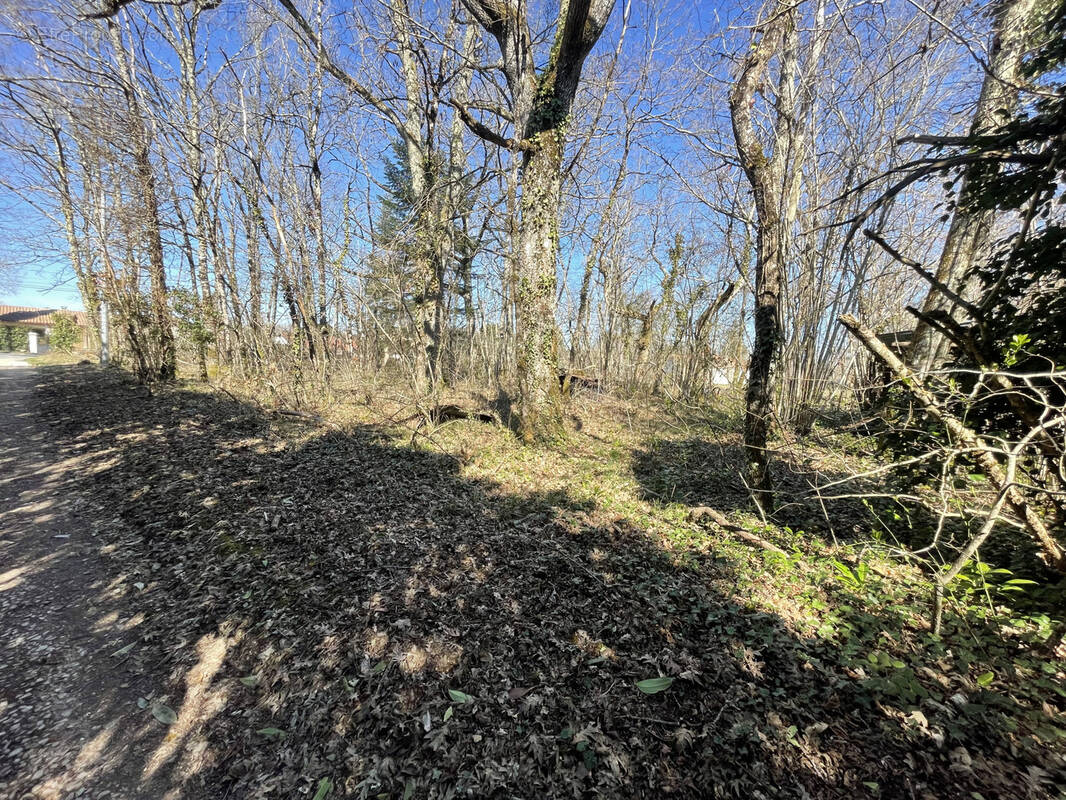 Terrain à SAINTE-MARIE-DE-CHIGNAC