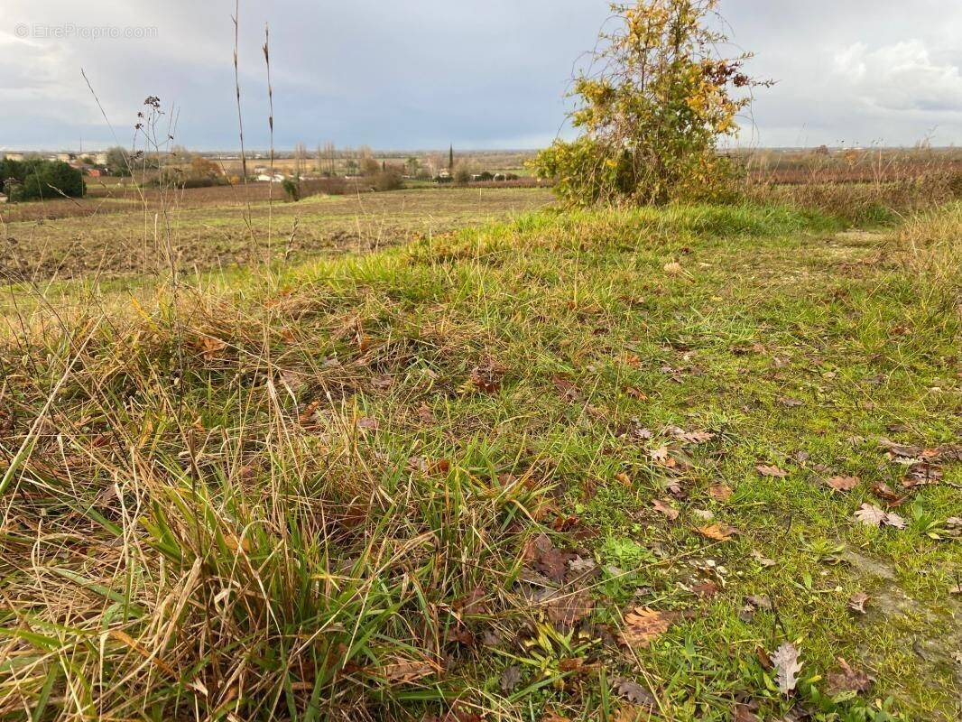 Terrain à MIOS