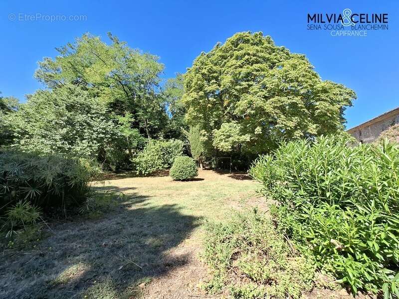 Propriete à vendre 32 pièces proche de CARCASSONNE (11) 2 habitations 522m2+ parc 2,82 hectares + dépendances - photo 38