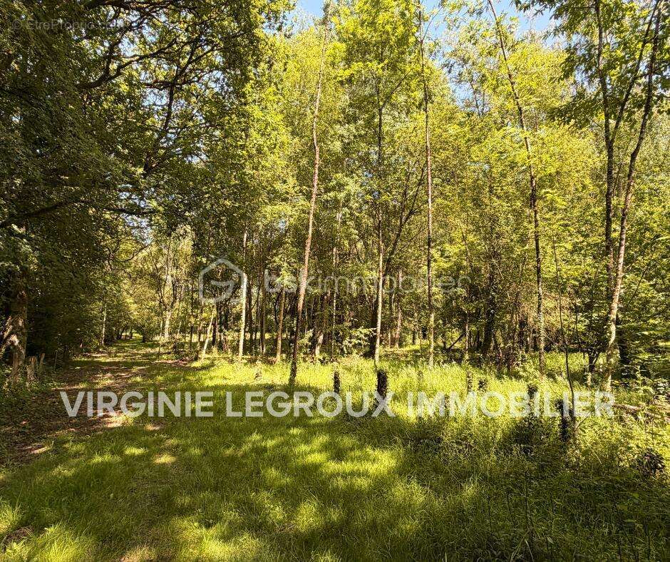 Terrain de loisirs de 15.000m2 avec pièce d'eau et verger - photo 4