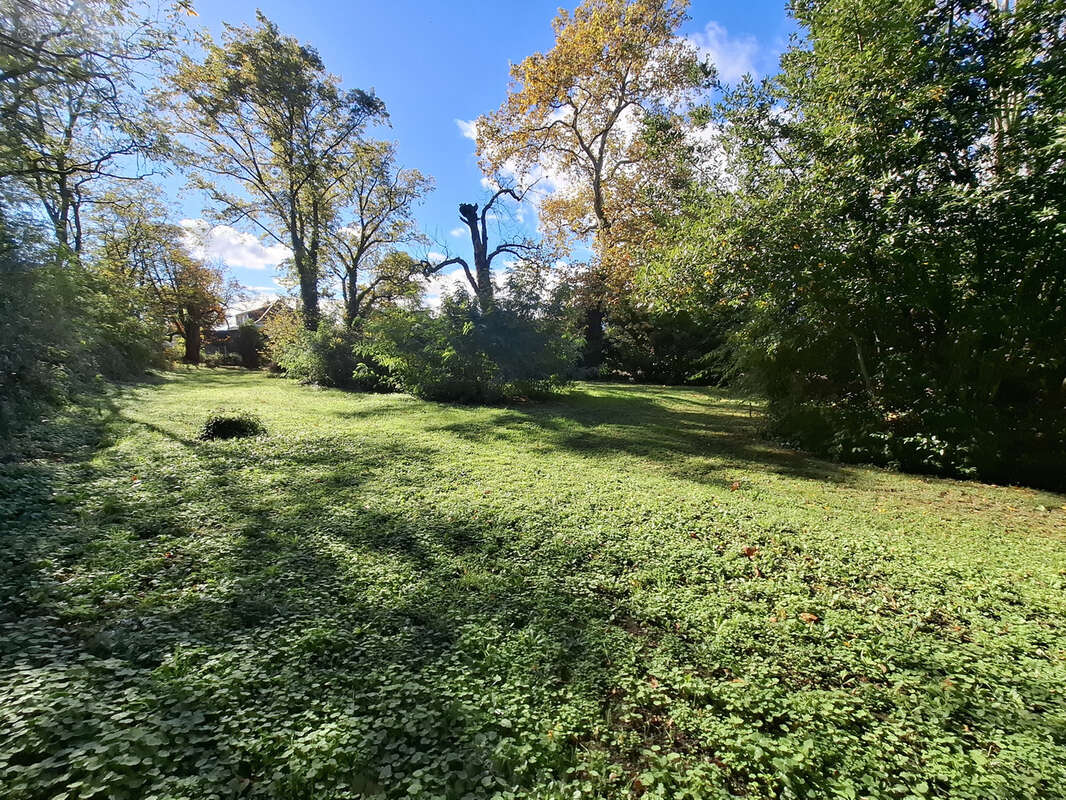 Terrain à SAINT-CLAIR-DU-RHONE