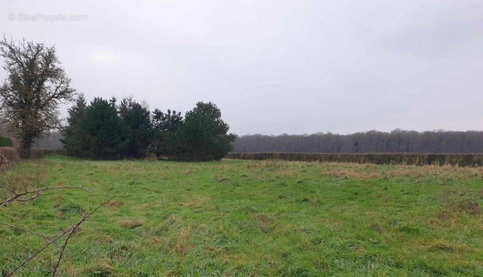 Terrain à BEAUMONT-LE-ROGER