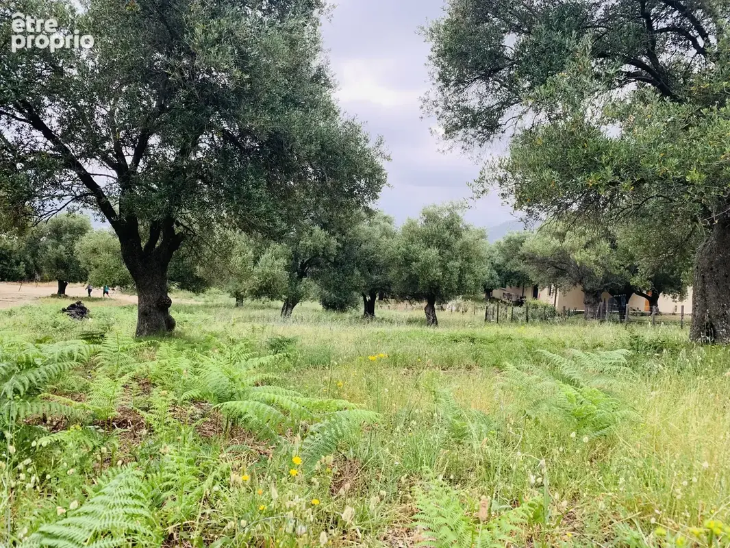 Terrain à batir . - photo 12