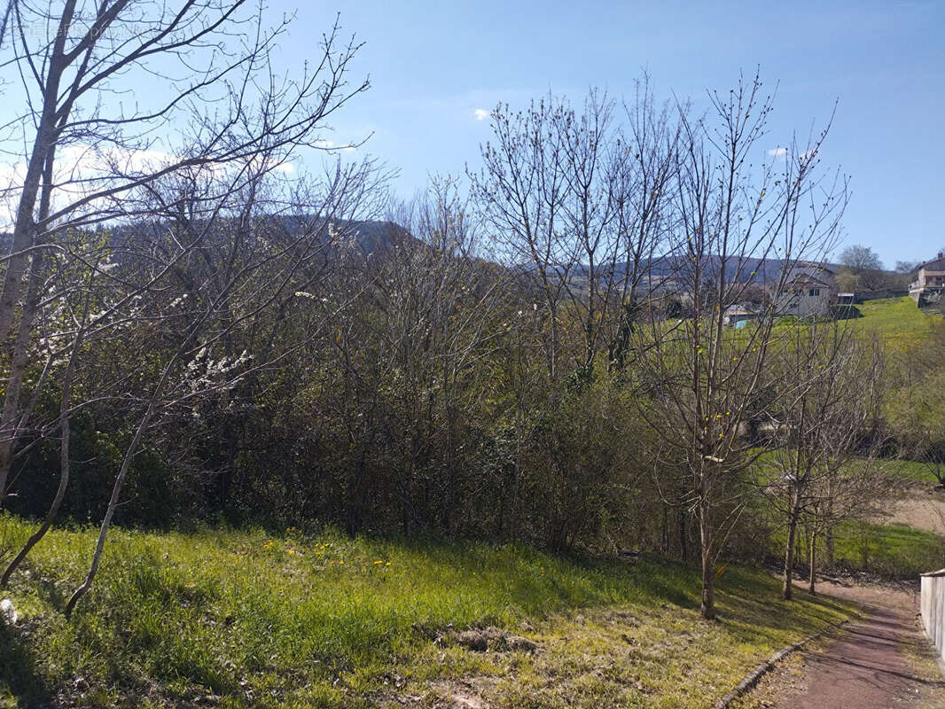 Terrain à LA ROCHE-VINEUSE