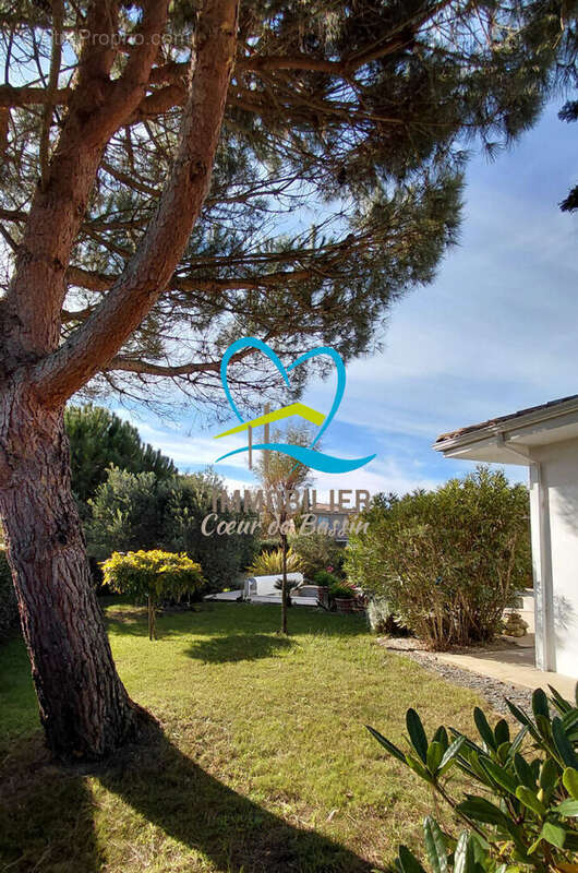 Maison à LEGE-CAP-FERRET