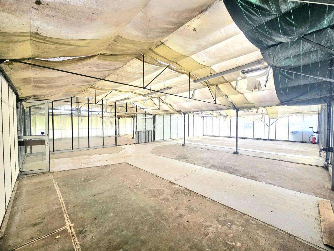 Commerce à SULLY-SUR-LOIRE