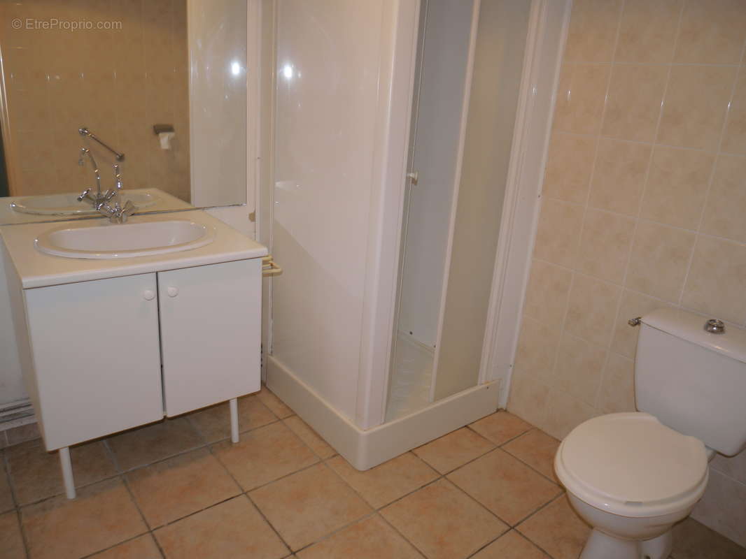 T2 RdC 49 m2 + Terrasse 16 m2 + Jardin 270 m2 + 2 Cabanons - photo 11