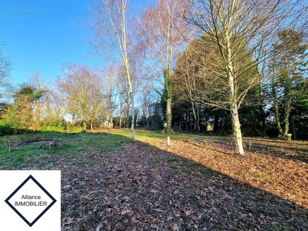 Maison à MONTAUBAN-DE-BRETAGNE