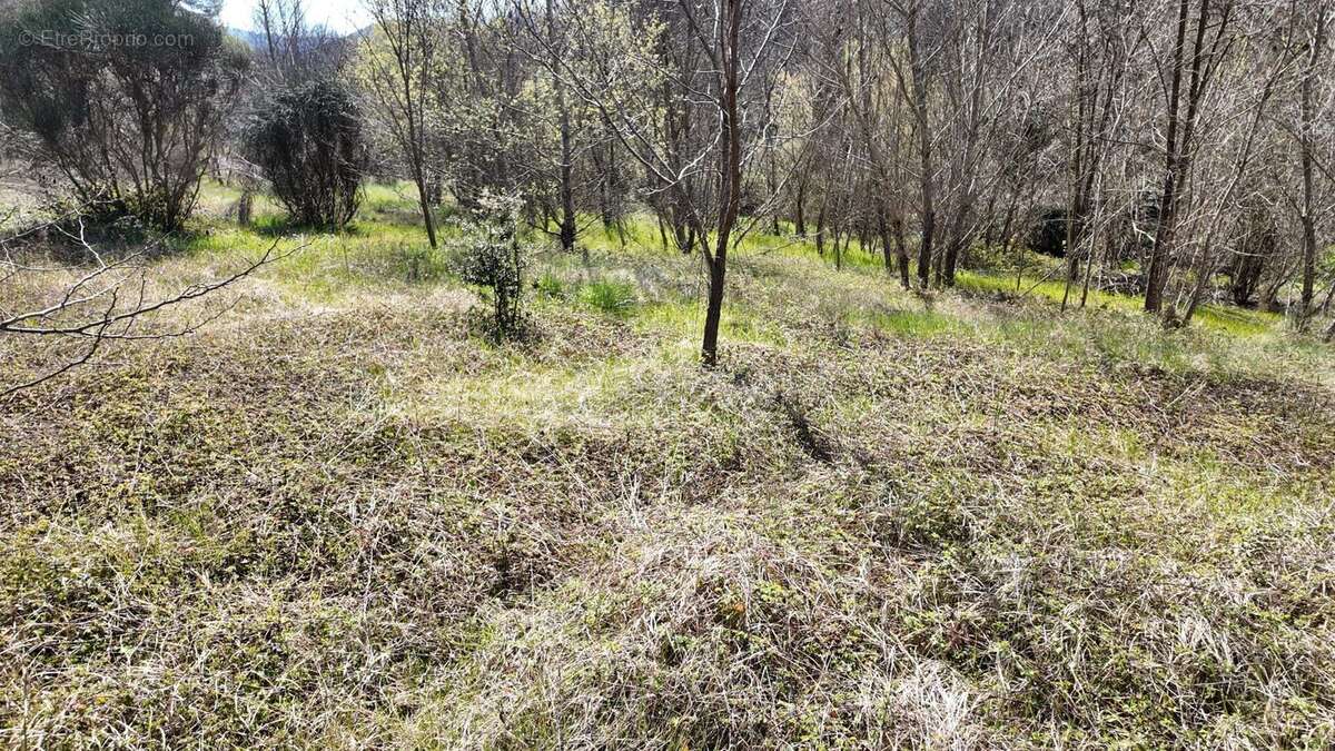 Terrain à ENTRECHAUX