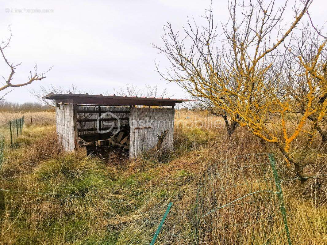 Terrain à VILLENEUVE-LES-BEZIERS