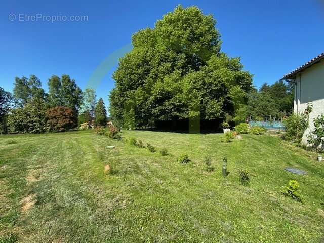 Maison à MONTEMBOEUF