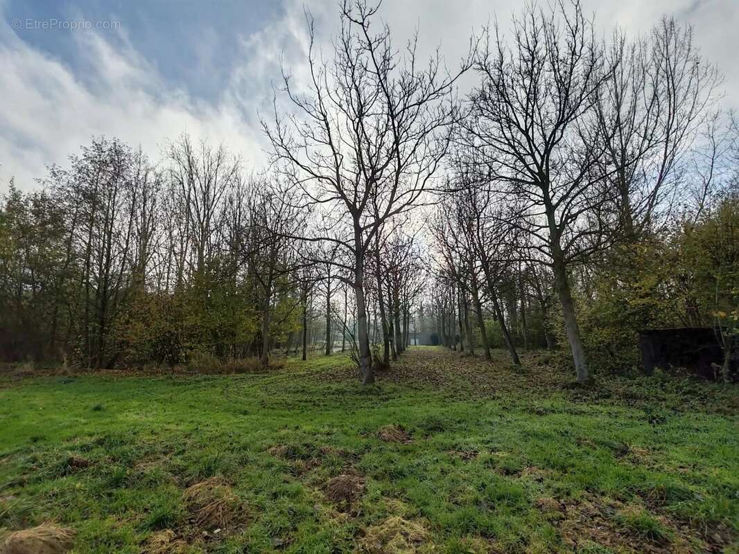 Maison de maitre rénovée avec étang et bois - photo 6