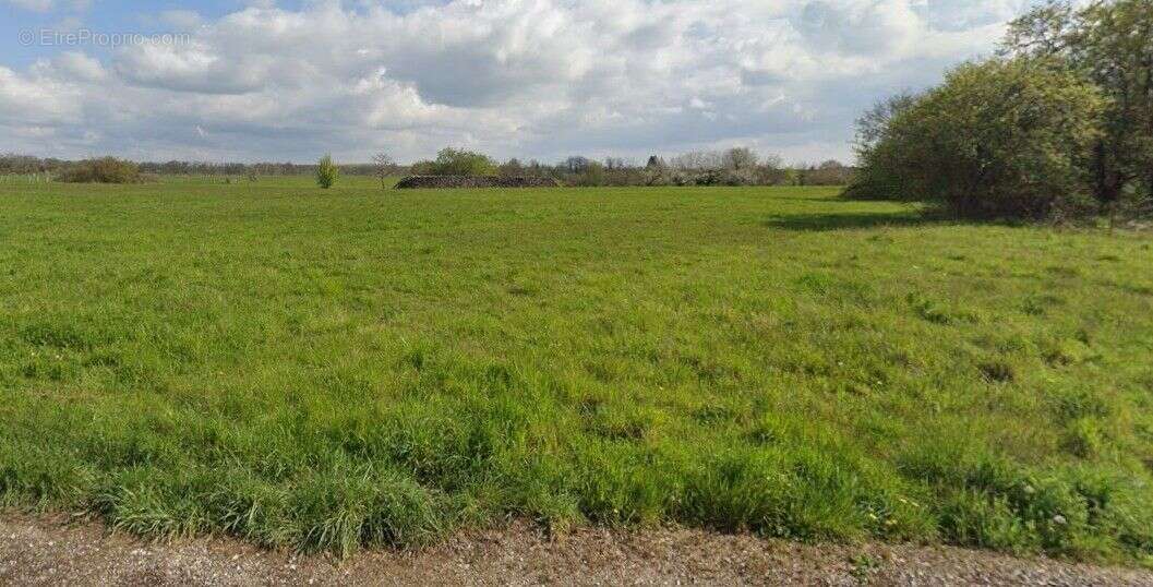 Terrain à LAMARCHE-SUR-SAONE