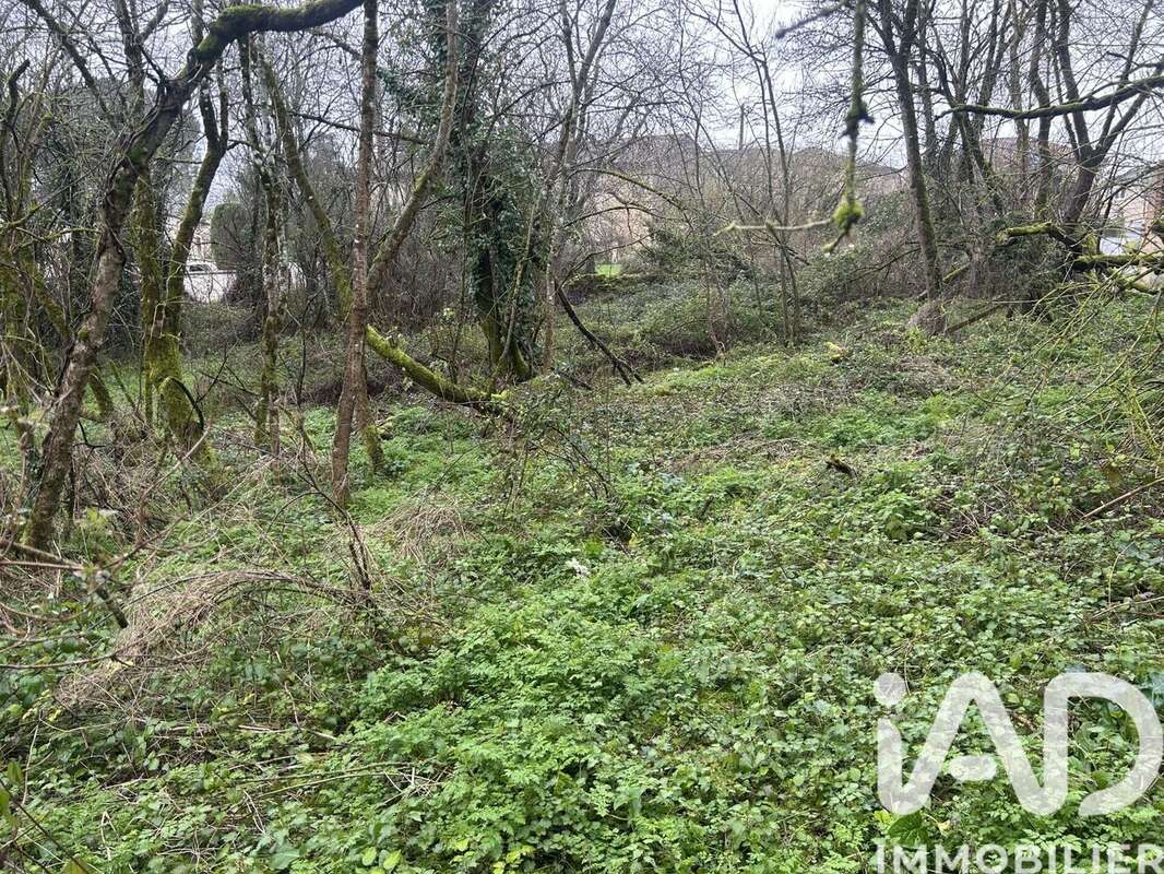 Photo 3 - Terrain à MAINE-DE-BOIXE