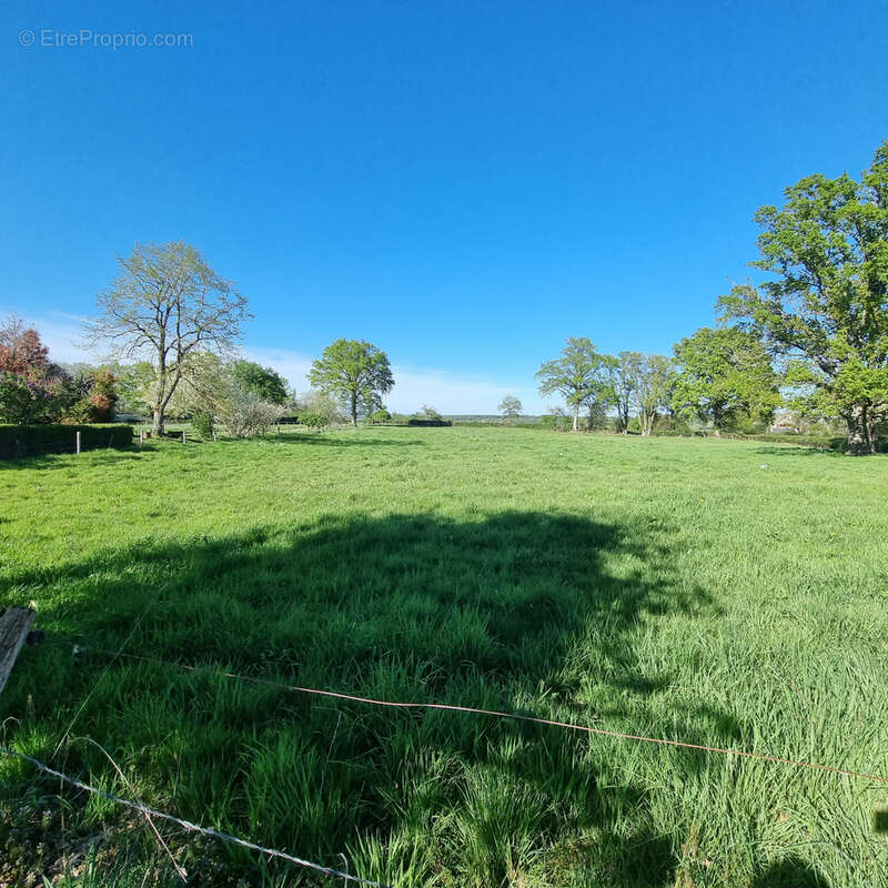Maison de campagne sur 9 778 m2 de terrain ! - photo 3