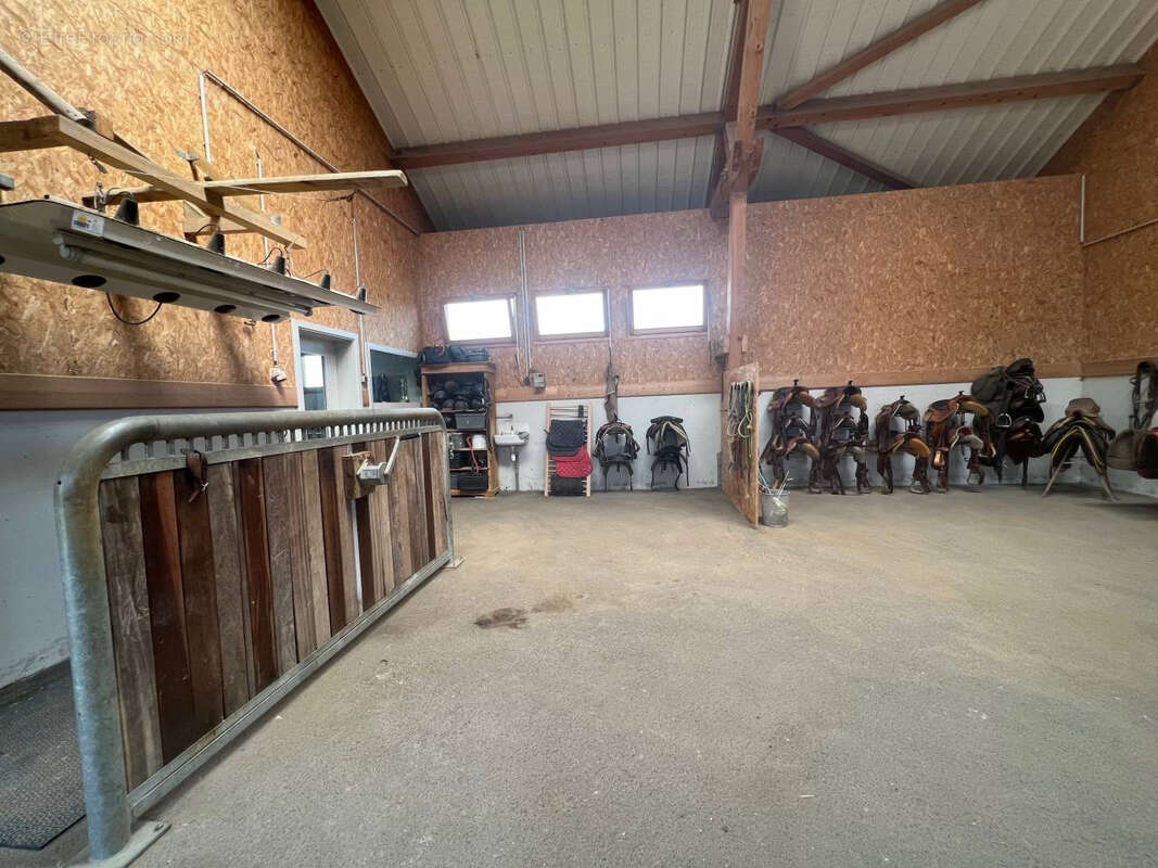 Propriété équestre - centre équestre - photo 4