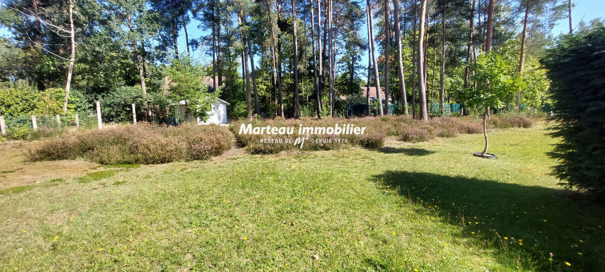 Maison à PARIGNE-L&#039;EVEQUE