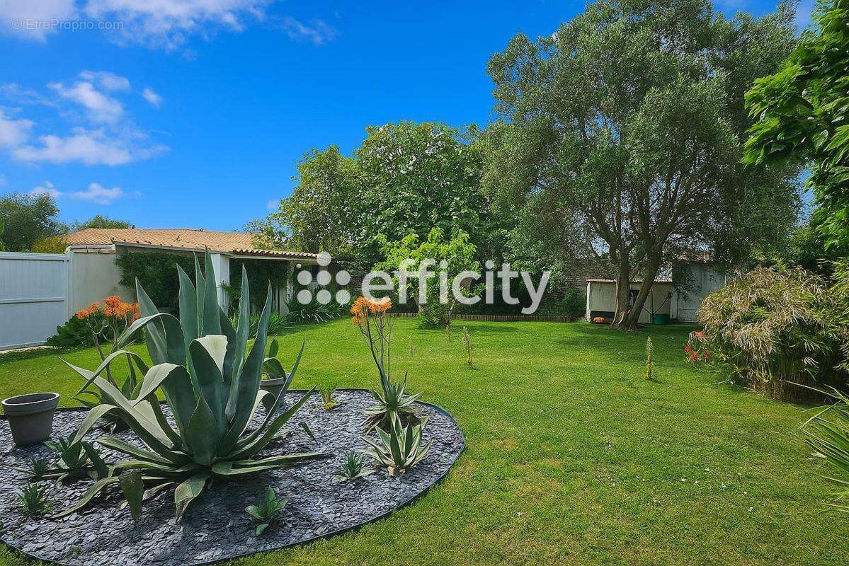 Maison à SAINTE-MARIE-DE-RE