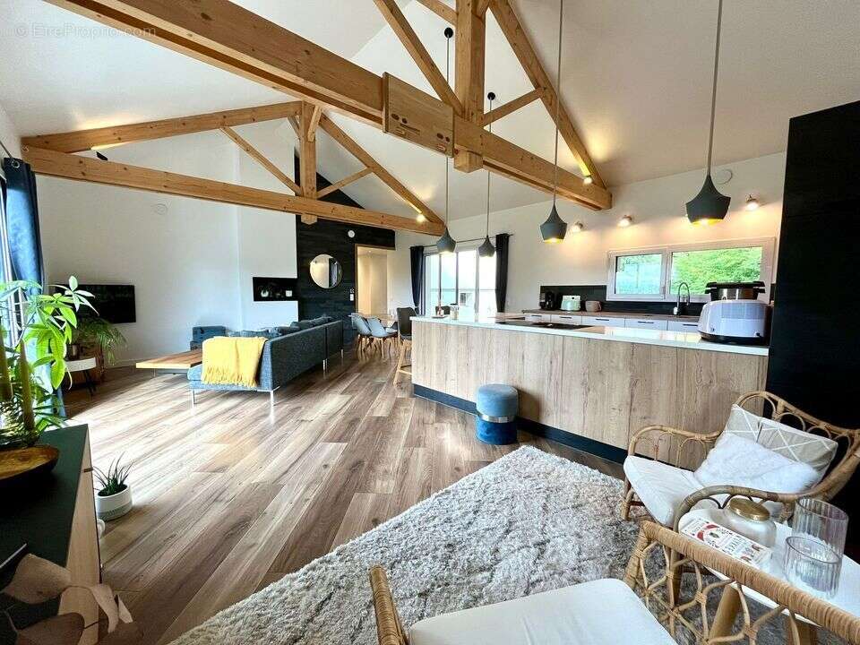 cuisine americaine ouverte - Maison à ARENTHON