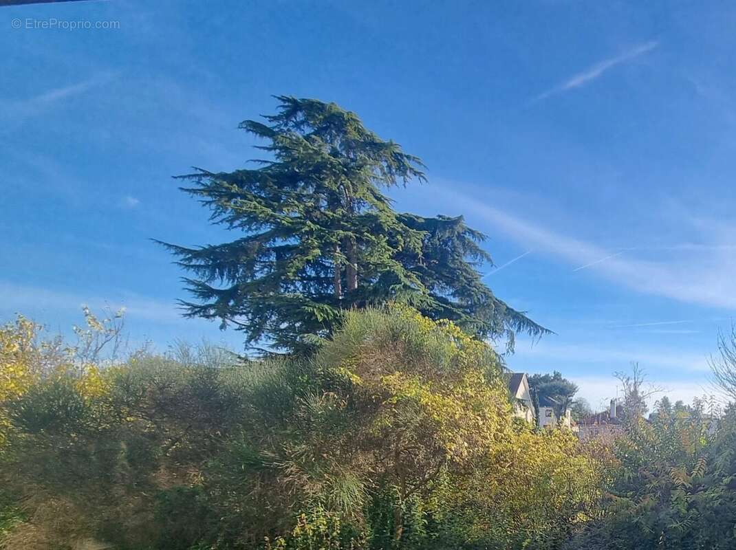 Appartement à CROISSY-SUR-SEINE